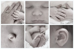 Newborn-Features4b