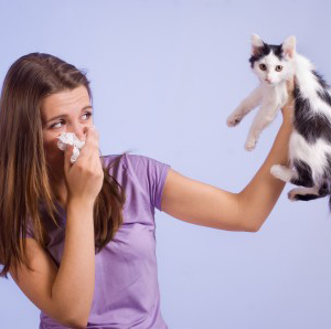 alergia a gato