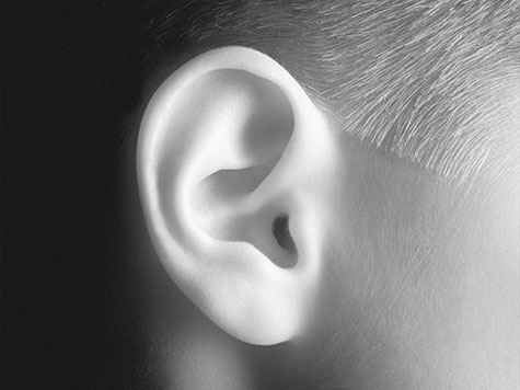 orelha humana
