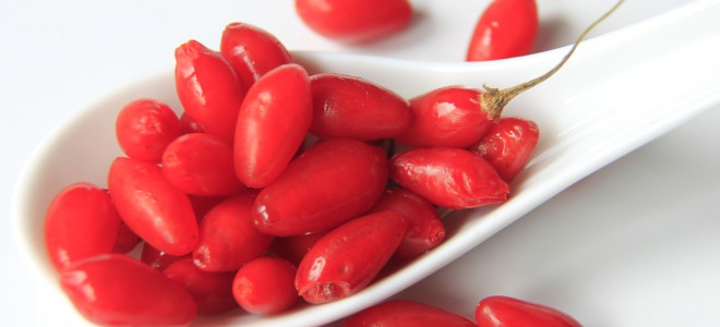 Goji berry contém baixo índice glicêmico e, assim, satisfaz a fome rapidamente. Foto: Shutterstock