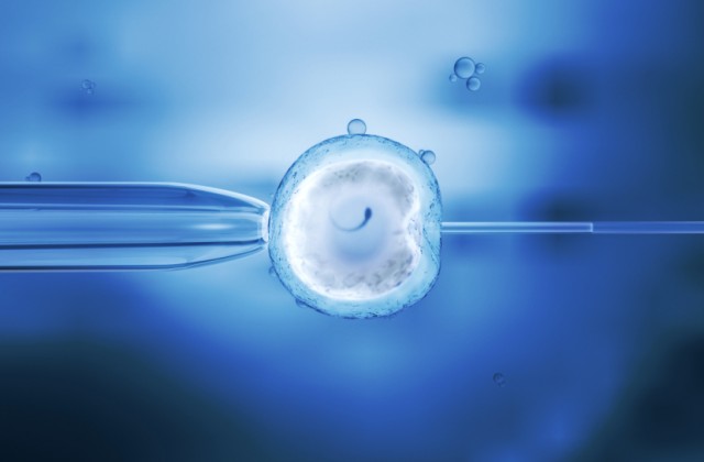 congelamento-de-embrioes