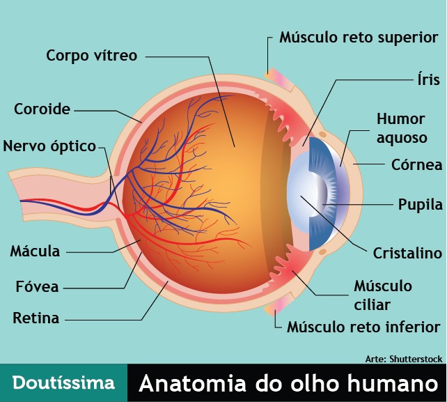 doencas-oculares