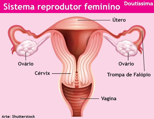 cheiro da vagina