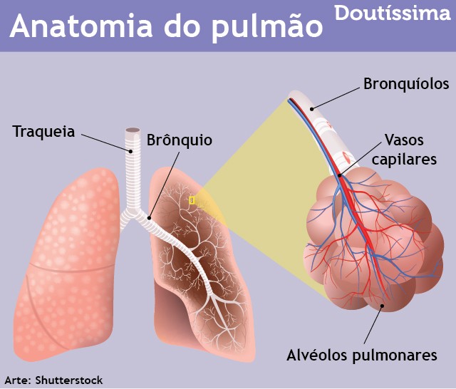 doenças pulmonares