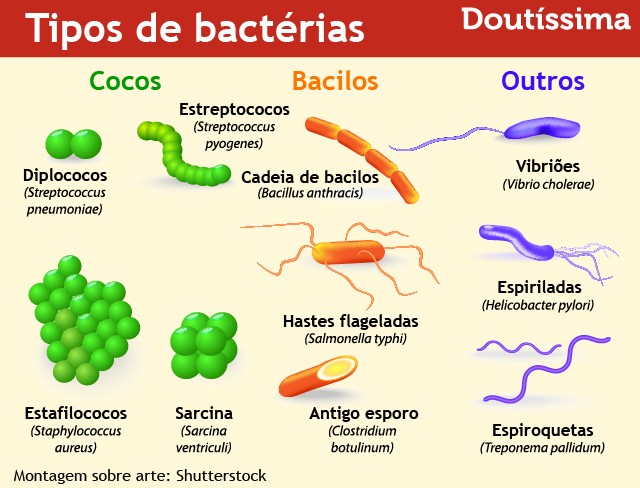 sabonete antibacteriano infográfico doutíssima