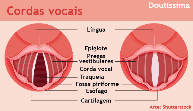 exercícios vocais infográfico doutíssima