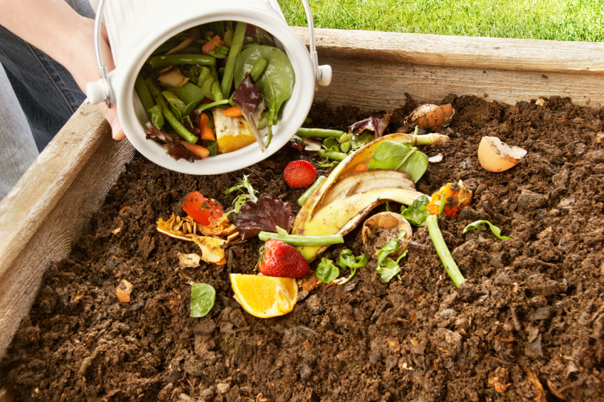 compostagem-doutissima-iStock-getty-images