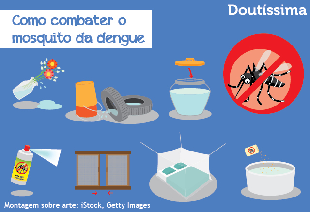 tudo sobre a dengue
